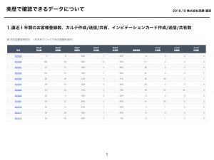 birekianalytics_reportcontents_img-001